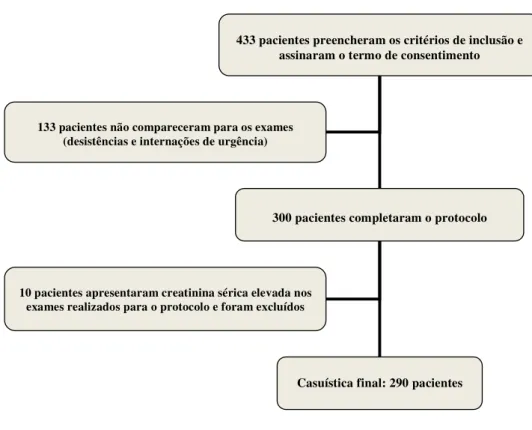 Figura 4 – Processo de inclusão dos pacientes no protocolo 