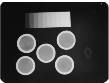 Figura 5.1 - Análise da radiopacidade com o uso de uma radiografia oclusal, exibindo os espécimes  metálicos preenchidos com o cimento EndoSequence BC Sealer 