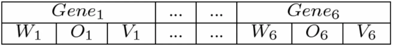 Fig. 1. Individual representation 