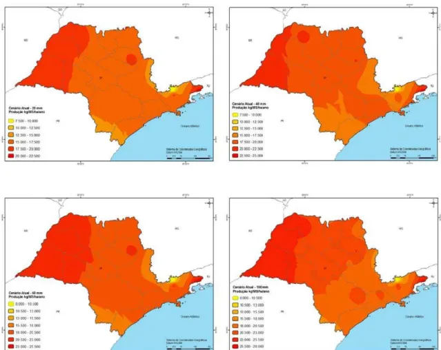 Figura 4 - Cenário atual de produção do capim-tanzânia (Baseline: 1964-2010), em kg MS ha -1 ano -1  no Estado de São Paulo para quatro tipos de solos no estado baseados na capacidade de  armazenamento de água no solo, sendo solo tipo I – capacidade de arm