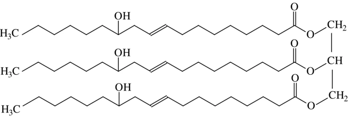 Figura 1.7 – Estrutura do triglicerídeo do ácido ricinoléico 