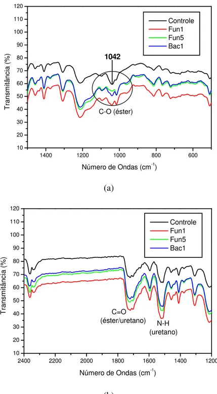 Figura  3.4  –  Espectros  da  espuma  PU-vegetal  1,  comparando  o  controle  e  as  amostras submetidas ao ataque de microrganismos: (a) região entre 1500 e 500 cm -1 ;  (b) região entre 2400 e 1200 cm -1 
