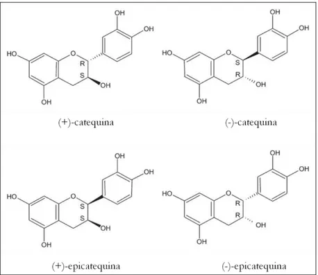 Figura 3 – Fórmula estrutural dos isômeros de catequina. Extraída de Rinaldo et al. (2010) 