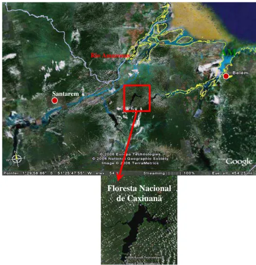 Figura 6 – Localização da Floresta Nacional de Caxiuanã. Fonte: Google 