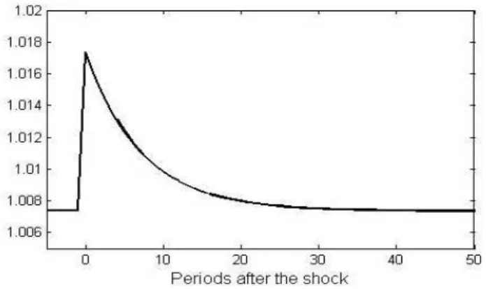 Figure 4 shows the exogenous shock to the nominal interest rate. As mentioned before, at t = 0 the interest rate increases with 100 basis point and returns then slowly back to his initial steady state value.