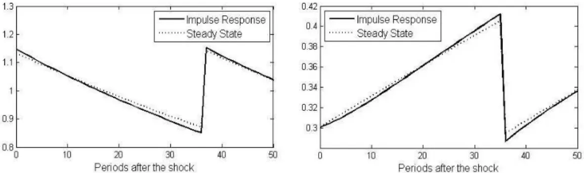 Figure 21: Consumption of a Household of type s = 1 at t = 0