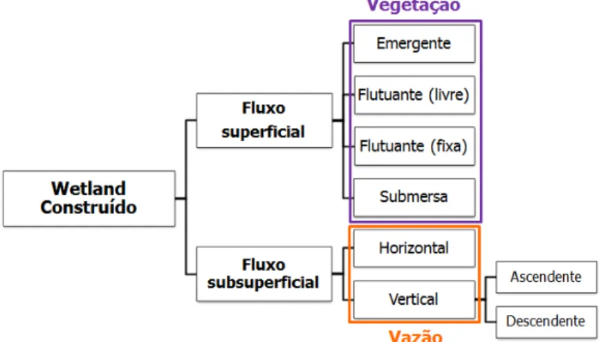 Figura 8  –  Configurações de wetlands construídos segundo vazão e vegetação  (Fonte: próprio autor)  