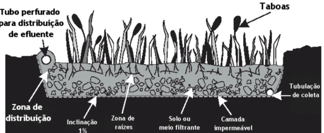 Figura 9  –  Esquema geral de um wetland construído com seus principais  componentes (Fonte: USEPA, 2000) 
