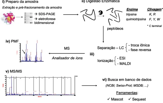 Figura 7. Esquema ilustrativo das seis etapas que comumente integram um  estudo proteômico empregando espectrometria de massas