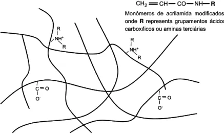 Figura 9. Estrutura hipotética de um gel de poliacrilamida representando o  gradiente de pH imobilizado