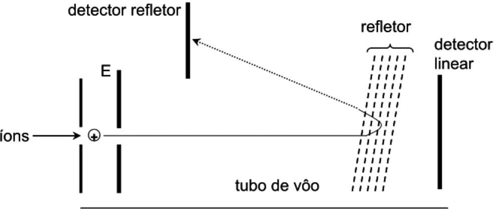 Figura 14. Esquema geral de um analisador de massas do tipo TOF com  refletor. 