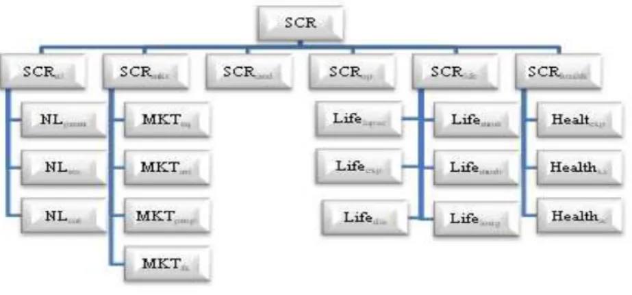 Figura 3: Módulos de Risco do SCR - QIS 2 / Fonte: CEIOPS 