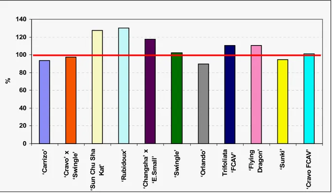 Figura 4 - Produção acumulada até o sétimo ano do plantio, colhida no segundo semestre (julho a dezembro), em  porcentagens relativas ao limoeiro ‘Cravo Limeira’, para árvores de limeira ácida ‘Tahiti’ sobre 12  porta-enxertos, Bebedouro, SP, 2003-2008 