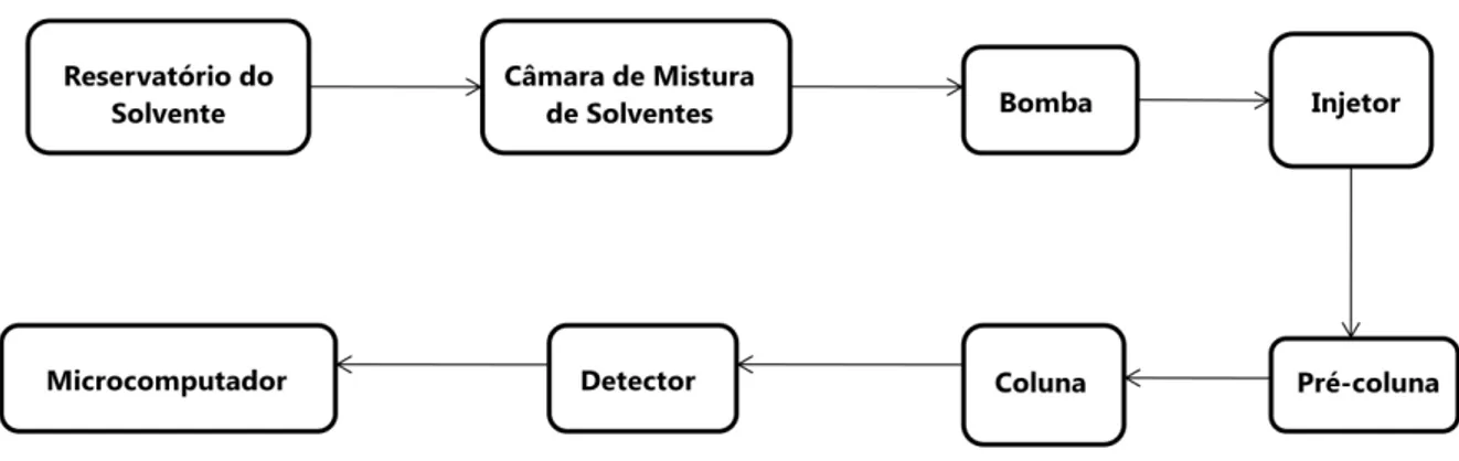 Figura 1.5. Esquema de instrumentação para Cromatografia Líquida de Alta Eficiência. 