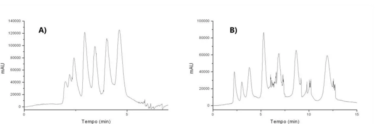 Figura  3.2.  Cromatogramas  de  estudos  de  separação,  por  eluição  isocrática  a  fase  móvel,  de  oito antocianinas