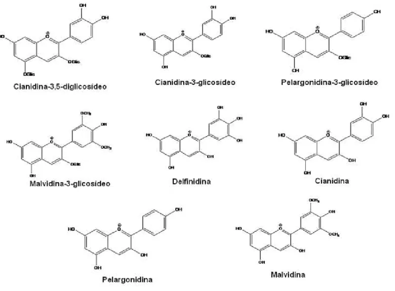 Figura 3.7. Estruturas químicas das antocianinas utilizadas na separação por cromatografia líquida