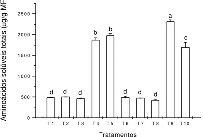 Figura 10 -  Teores de aminoácidos solúveis totais quantificados nos explantes de Cryptomeria japonica D