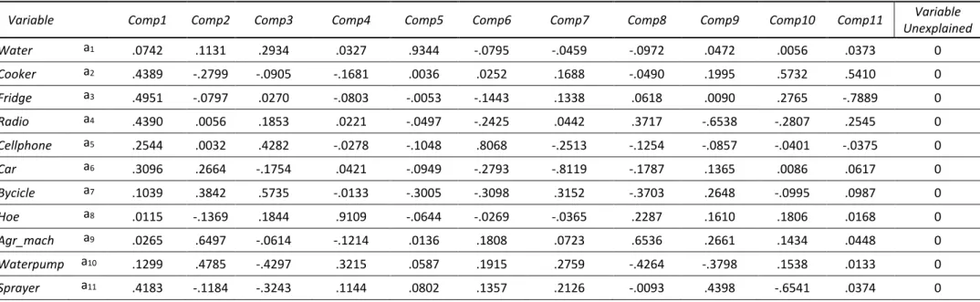 Table II: Principal Component Analysis for the creation of an Asset Index – components’ values 