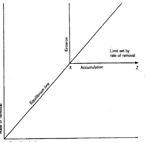 Gráfico 1 A relação entre a espes por processos de transporte. 
