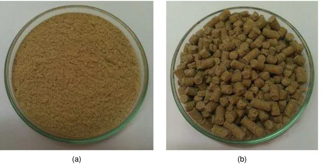 Figura 5.1. Farelo de arroz gentilmente cedido pela Irgovel/Nutracea: (a) integral; (b)  pelletizado