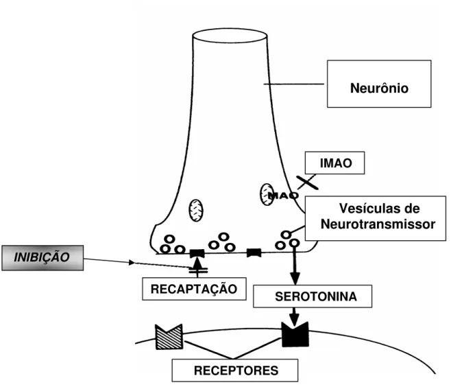 FIGURA 6.  Fluoxetina – Mecanismo de Ação na Junção Neuro-Efetora 