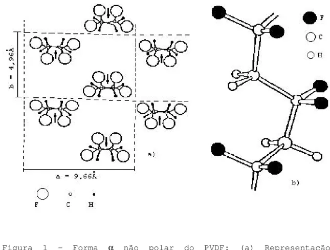Figura 1 - Forma  α  não polar do PVDF: (a) Representação  esquemática da célula unitária  [27] ; (b) Conformação molecular 