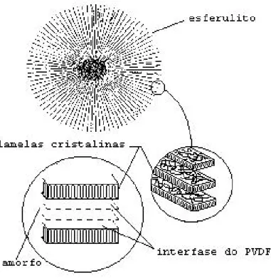 Figura 5 - Desenho esquemático de um esferulito [33] . 