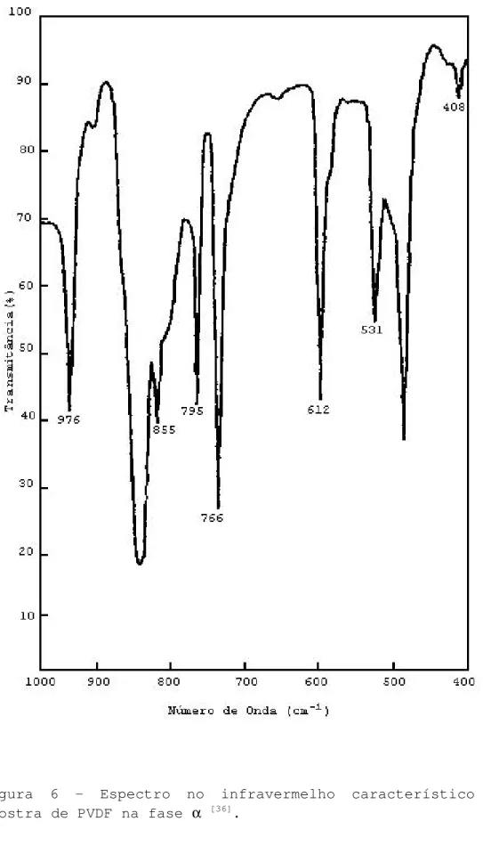 Figura 6 - Espectro no infravermelho característico de uma  amostra de PVDF na fase  α [36] 