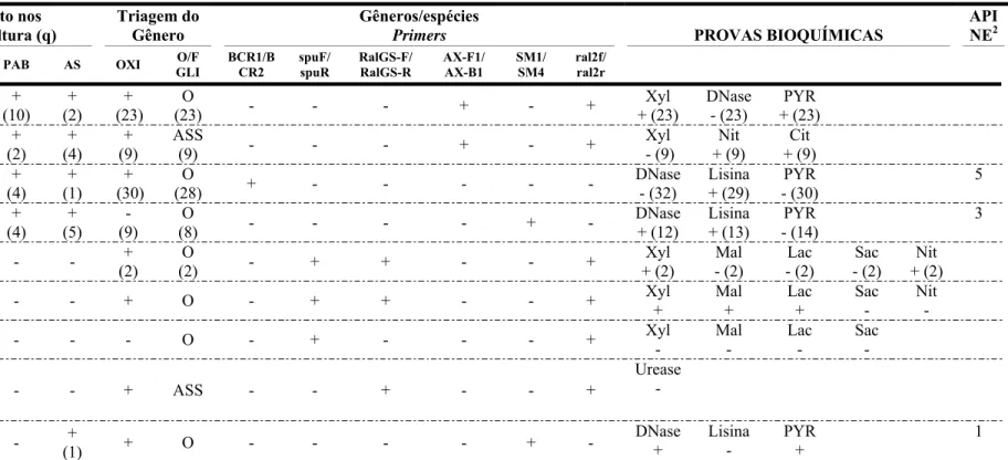 Tabela 6. Triagem e identificação dos BNG-NF emergentes isolados  BGN-NF  emergentes  isolados 1  (n)  Crescimento nos   Meios de cultura (q)  Triagem do Gênero  Gêneros/espécies 
