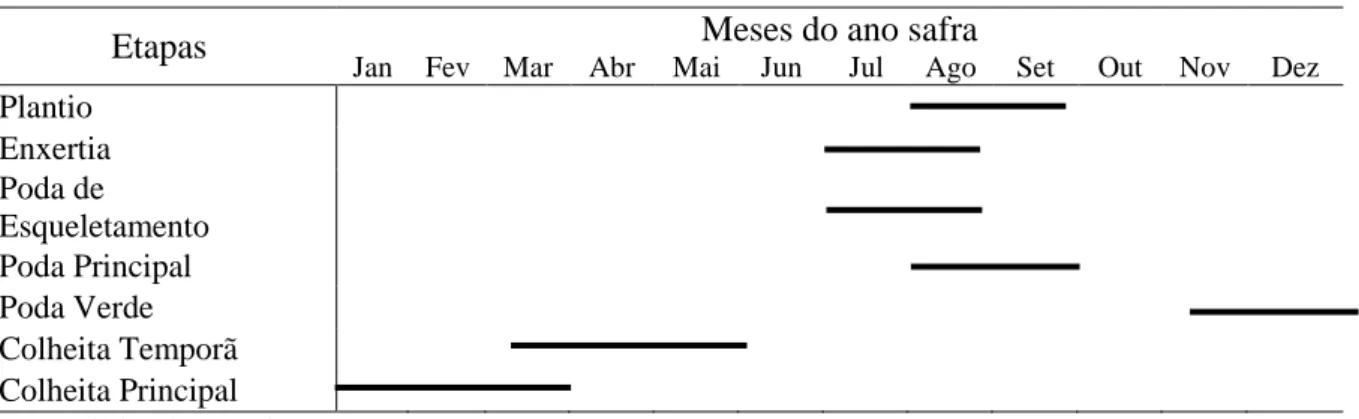 Tabela 12 - Calendário de plantio, podas e colheita do EDR de Itapetininga 