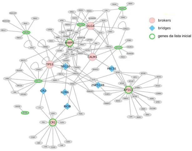 Figura 4: Rede de interação proteína-proteína (IPP)