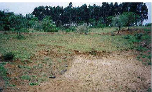 Figura 2 - Enterrio e reafeiçoamento do terreno. 