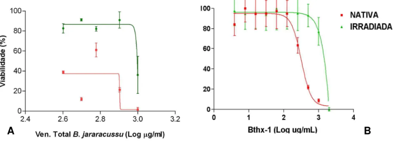 Figura  13:  Ensaio  de  citotoxicidade  (MTS)  para  verificação  da  viabilidade  dos  macrófagos peritoneais de camundongos B10.PL incubados com o veneno de  Bothrops jararacussu (A) ou com a Bthx-1 (B), na forma nativa ou irradiada