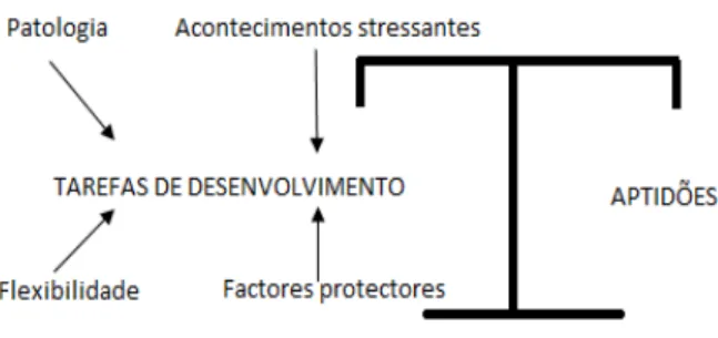 Figura 1: Os seis elementos da competência 