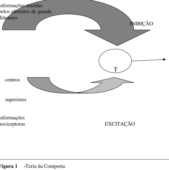 Figura 1  -Teria da Comporta 