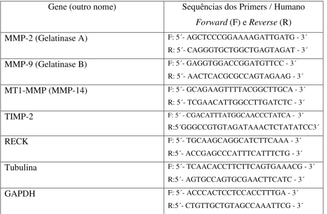Tabela 1: Sequências dos primers de MMPs e seus Inibidores para análise da expressão  gênica através de Real-Time PCR