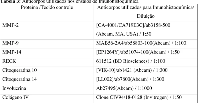 Tabela 3: Anticorpos utilizados nos ensaios de Imunohistoquímica 