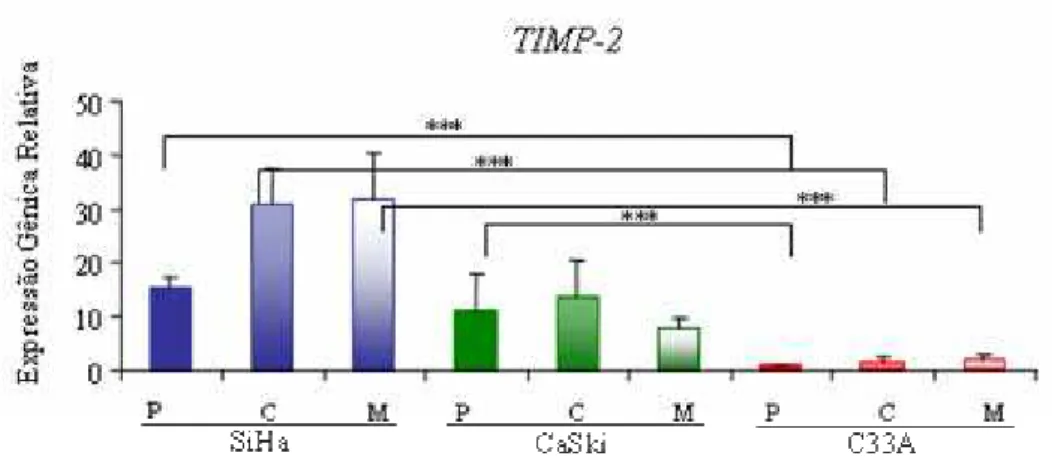 Figura 9: Expressão gênica de TIMP-2  normalizada por GAPDH. Para os três  substratos, a linhagem SiHa (HPV positiva) apresentaram maior expressão que a linhagem  C33A (HPV negativa) (P&lt;0.001)