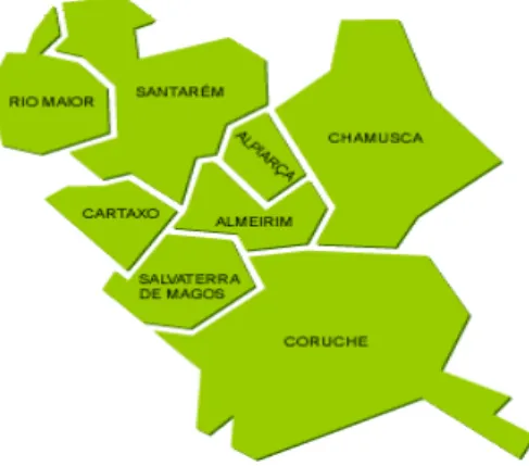 FIGURA  1 -  CONCELHOS  DA  ÁREA  DE  INFLUÊNCIA  DO  HOSPITAL  DISTRITAL  DE  SANTARÉM  (SANTARÉM, 2013).