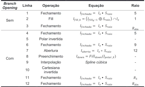Tabela 2-2 Resumo de Operações Morfológicas  Branch 