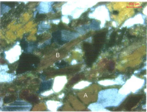 Figura  10. Foliaçåo  definida  por anfibólio  e  biotita.