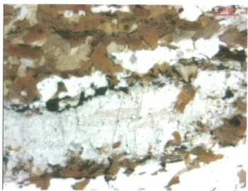 Figura  38.  Biotita sem orientaçåo,  silimanita fibrosa formando-se  às  expensas da  biotita.