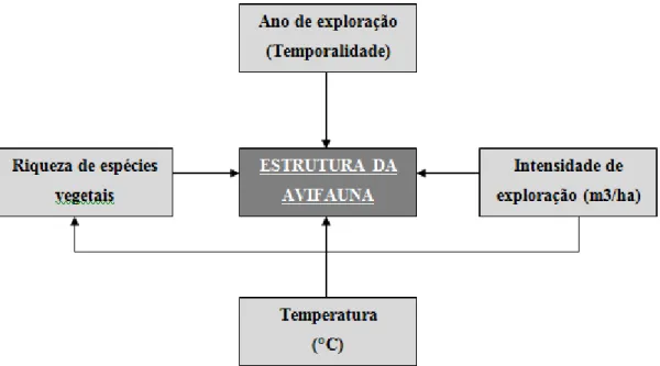 Figura 8 - Fluxograma de fatores que afetam e/ou modificam a estrutura da avifauna (Fonte: O autor) 