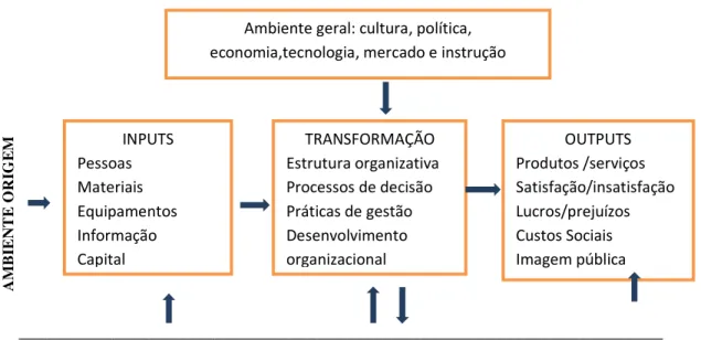 Figura 5 - Interatuação da organização com o ambiente envolvente. 