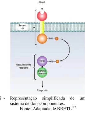 Figura 6  -  Representação  simplificada  de  um  sistema de dois componentes.  