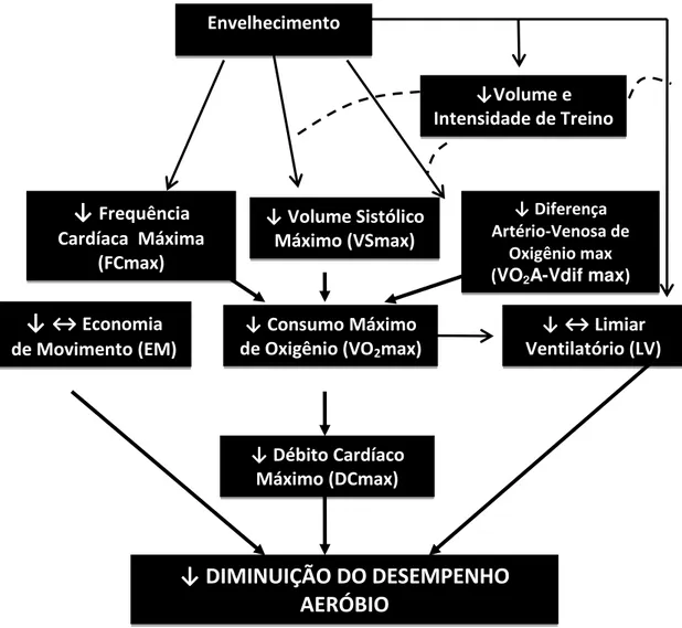 Figura  1  –   Mecanismos  fisiológicos  centrais  e  periféricos  que  explicam  a  interferência  sobre  o  desempenho  aeróbio  (Donato  et  al