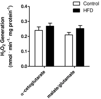 Figura 6: Geração de H 2 O 2  em mitocôndrias  na  presença  de  α -cetoglutarato  e  malato/glutamato