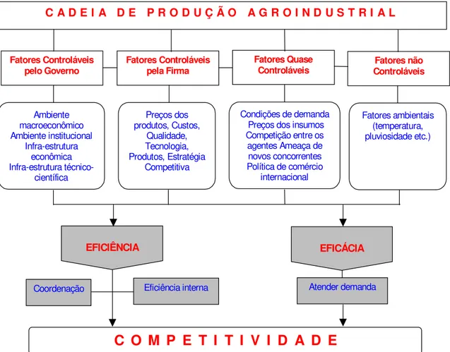 Figura 1 – Fatores determinantes da competitividade em cadeias de produção  agroindustriais