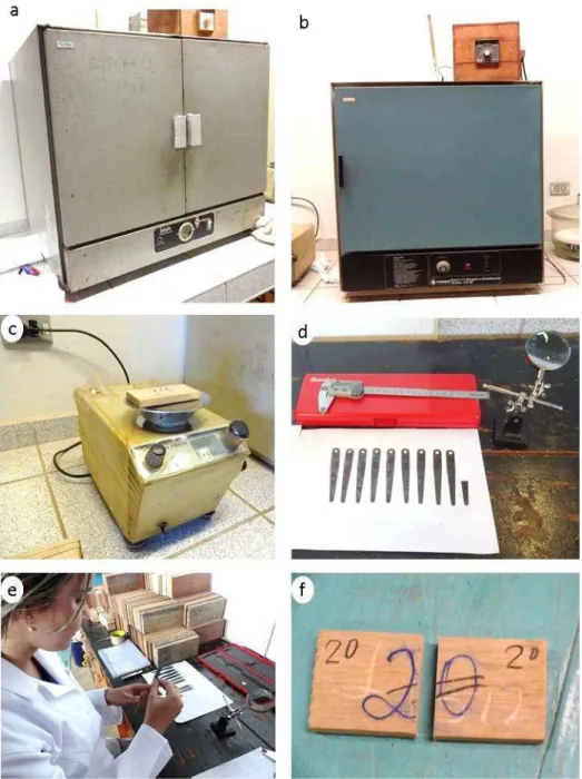 Figura 9 - a) e b) Estufas de secagem e esterilização com circulação de ar fechada; c)  Balança de precisão modelo PN1210; d) Paquímetro, lupa e calibrador de  espessura utilizados para análise de rachadura e colapso; e) Aferição de  espessura de rachadura