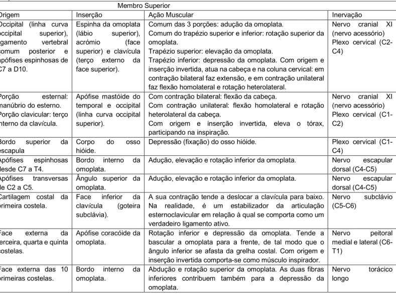 Tabela 3 - Miologia do Membro Superior  Adaptado de (Pezarat &amp; Pascoal, 2010) 